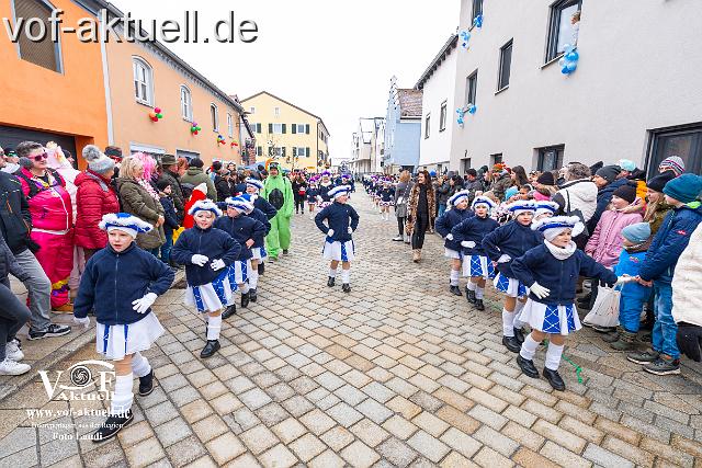 Foto Laudi_faschingszug_hofkirchen-24.jpg